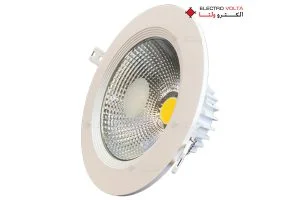 سالیکس ( SALIX )