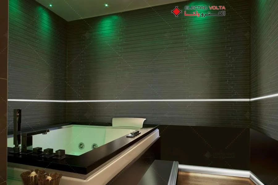 هیدرا ( Hydra )