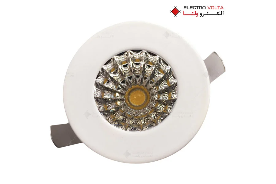 هیدرا ( Hydra )